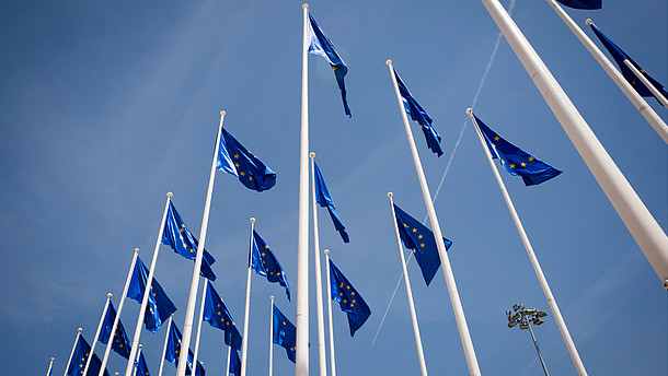  Numerous European flags waving in the wind are photographed from frog persective.