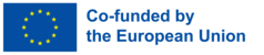 Logo of the European Union. The European flag is on the left. The text on the right reads "Co-funded by the European Union".