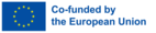 Logo of the European Union. The European flag is on the left. The text on the right reads "Co-funded by the European Union".  