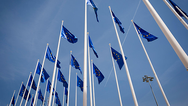Numerous European flags waving in the wind are photographed from frog persective.