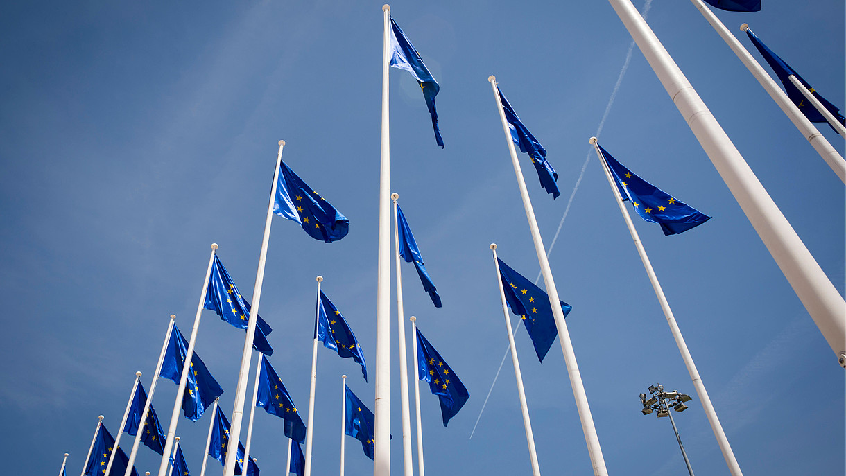 © Rob Wilkinson / Alamy Stock Foto Numerous European flags waving in the wind are photographed from frog persective.