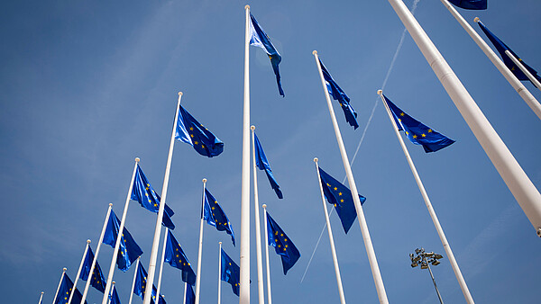 Numerous European flags waving in the wind are photographed from frog persective.