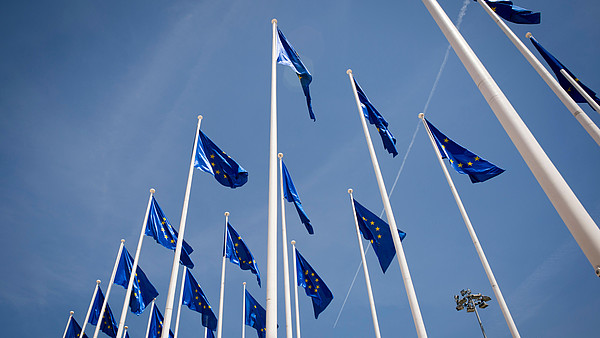 Numerous European flags waving in the wind are photographed from frog persective.