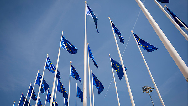 Numerous European flags waving in the wind are photographed from frog persective.