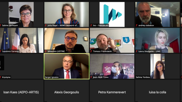 Screenshot of a zoom meeting.