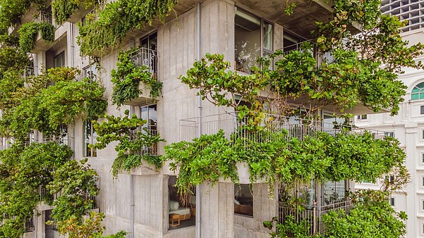 A modern concrete building is covered by a vertical garden.