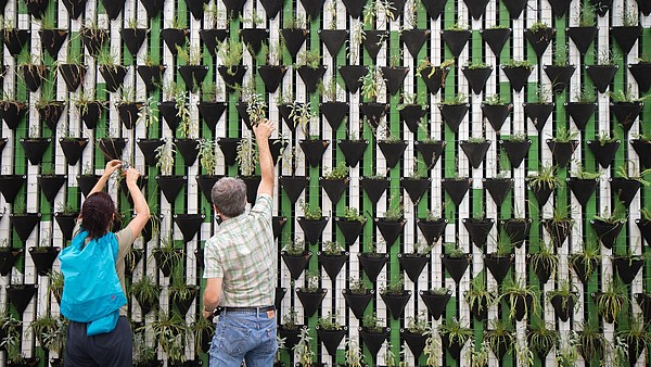 Two people are shown from the back while putting plants into triangle-shaped pots. Numerous pots are attached to a green and white wall, creating a geometric pattern.