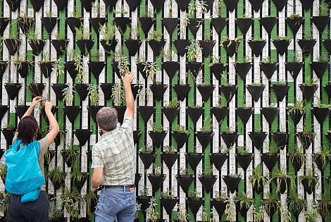 Two people are shown from the back while putting plants into triangle-shaped pots. Numerous pots are attached to a green and white wall, creating a geometric pattern.  © Image: Daniel Funes Fuentes