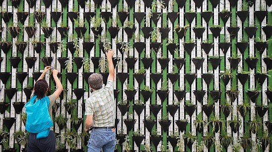 Two people are shown from the back while putting plants into triangle-shaped pots. Numerous pots are attached to a green and white wall, creating a geometric pattern.
