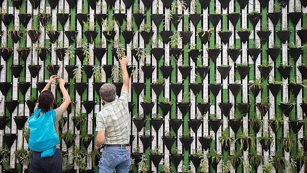  Two people are shown from the back while putting plants into triangle-shaped pots. Numerous pots are attached to a green and white wall, creating a geometric pattern.