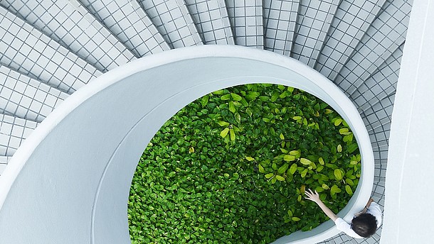  A white spiral staircase photographed from above. A person is standing on the stairs and touching the green plants in the middle.