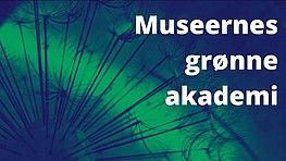 This image depicts an macro view of a dandelion in blue and green. The white text reads "Museernes grønne akademi"r