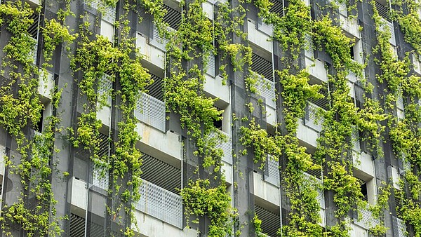 A modern concrete building is covered in plants.