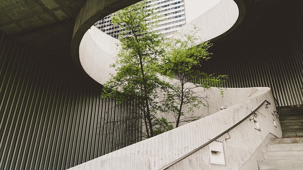 A round concrete stairwell is shown from below. In its middle there is a tree.  © Image: Alexander Abero