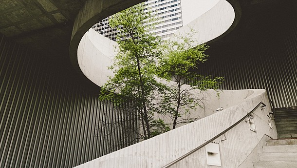  A round concrete stairwell is shown from below. In its middle there is a tree.