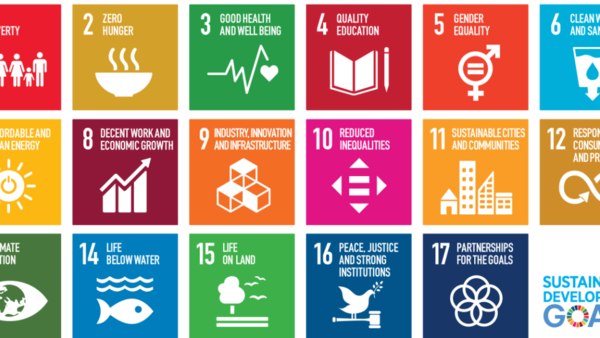 Diagram illustrating 17 sustainable development goals. Each keyword is represented by a simple illustration in a colourful square.